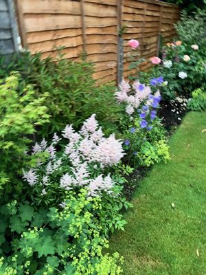 Photo 18- click for photo gallery